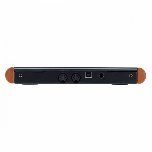 Roger Linn Design LinnStrument 128