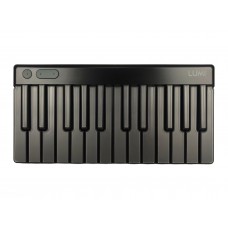 Roli Piano M